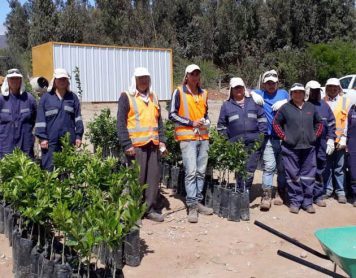 Entrega de plantas a beneficiarios proyecto PUCOBRE